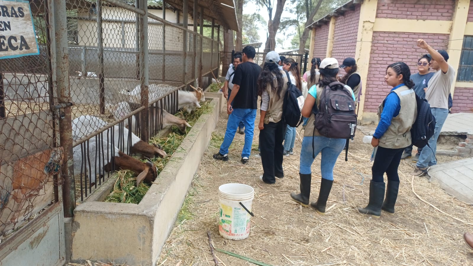 Imagen de galería